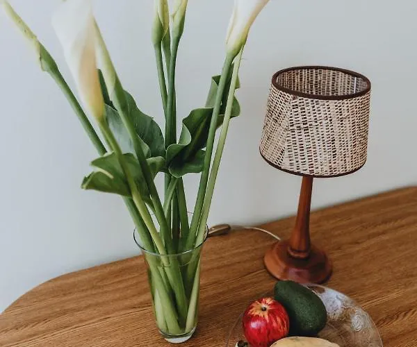 Apartman Casa Branca By Wanderlust Madeira, Vacation