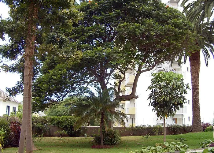 Casa Branca By Wanderlust Madeira, Vacation *