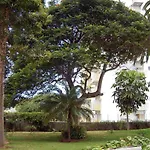 Casa Branca Apartments By Wanderlust Madeira, Vacation Rentals *