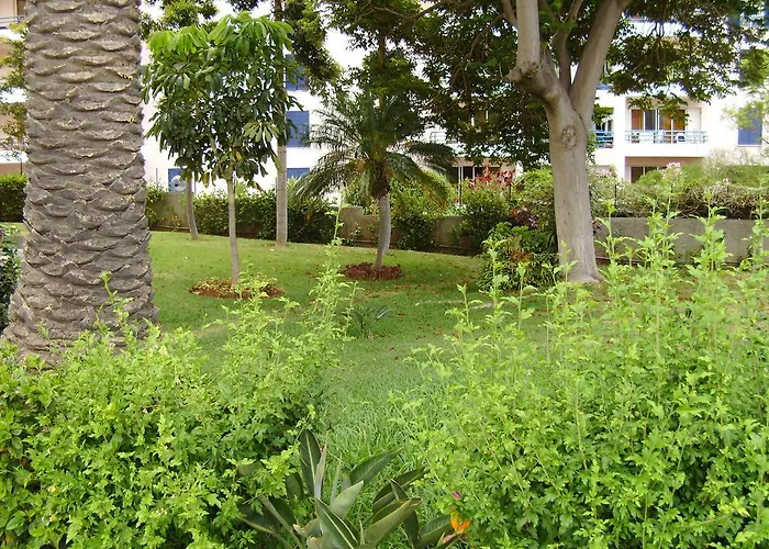 Apartamento Casa Branca By Wanderlust Madeira, Vacation