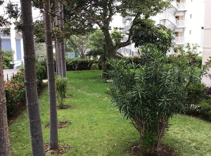 Apartament Casa Branca By Wanderlust Madeira, Vacation